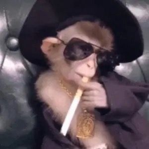 Meet your Posher, Valerie